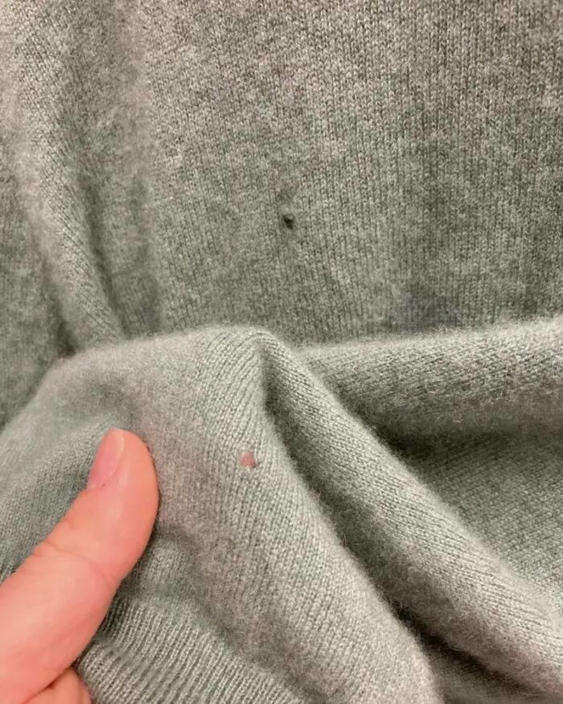 7. Kupila je skupu vestu od kašmira i par dana poslije saznala da u ormaru ima moljce