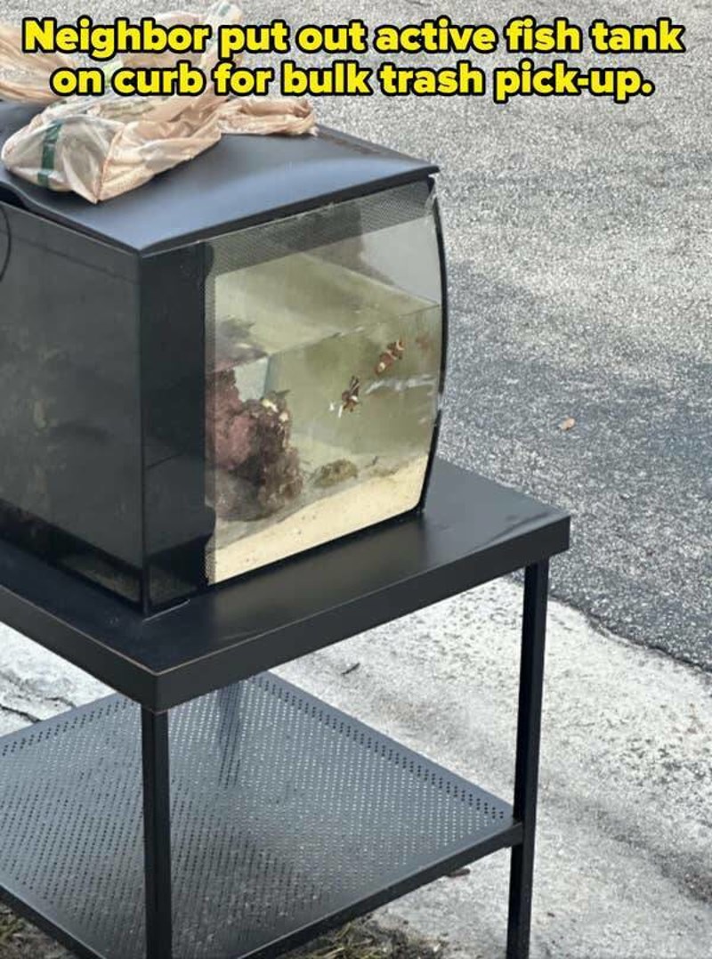 6. Susjed je stavio akvarij pun ribica na trotoar gdje se stavlja miješano smeće za odvoz