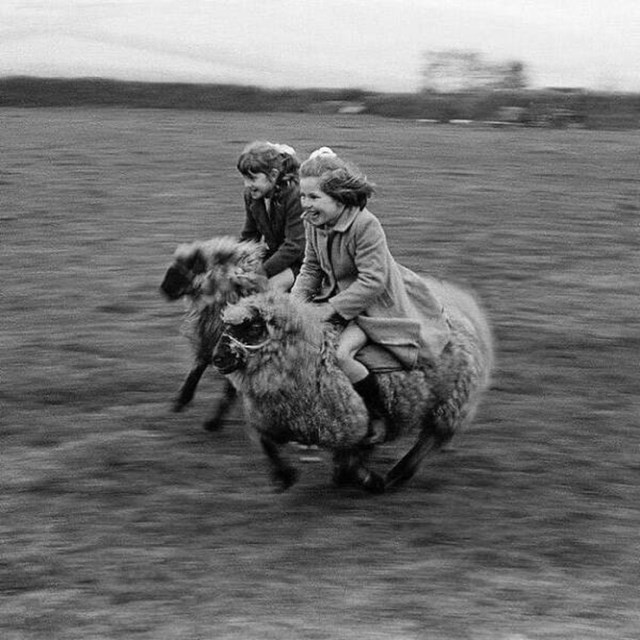 6. "Dvije djevojke galopiraju punom brzinom na ovcama u Cornwallu, Engleska 1969."