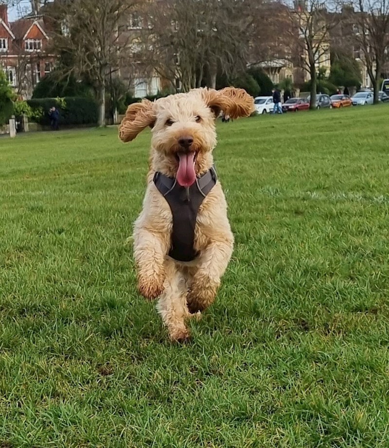 1. "Mislim da sam već snimila najbolju fotku 2023. godine!"