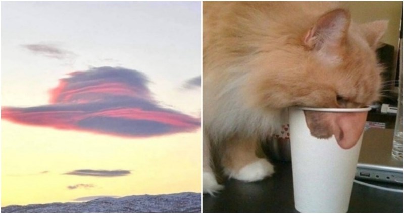 19 interesantnih prizora koje nemate prilike vidjeti svaki dan