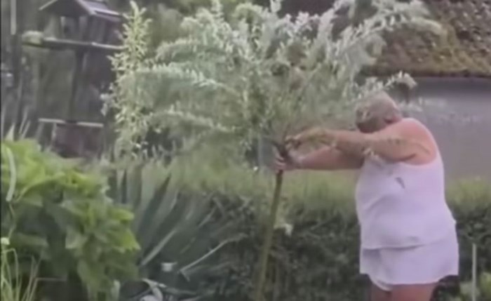 Snimka žene koja štiti svoju maslinu od nevremena obišla je svijet, morate vidjeti ovaj hit