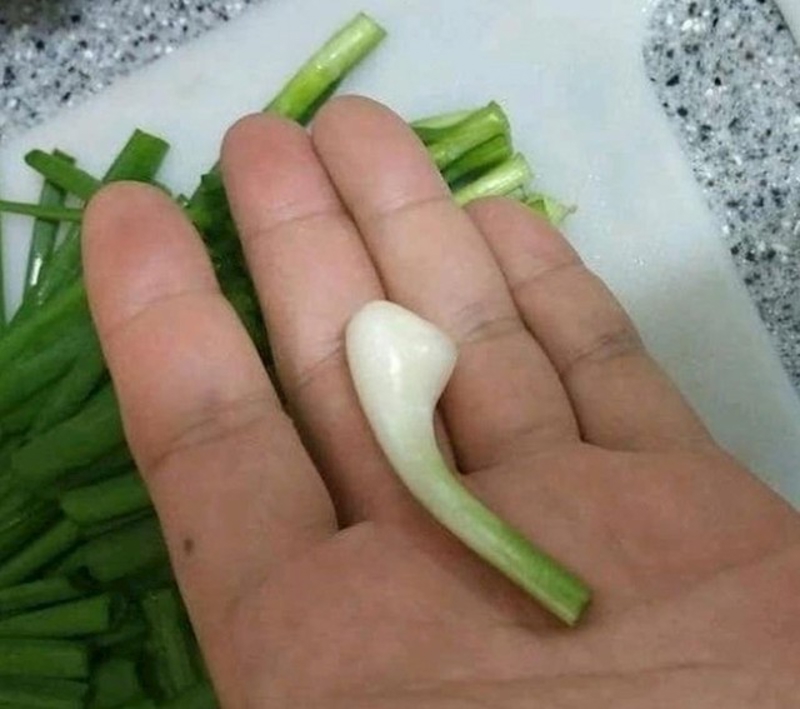 20. Slušalice ili mladi luk?