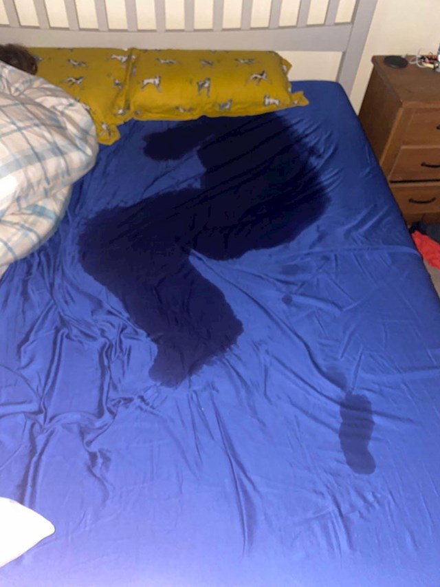 11. Frend mi je poslao fotku svojeg kreveta nakon što je cijelu noć proveo s visokom temperaturom