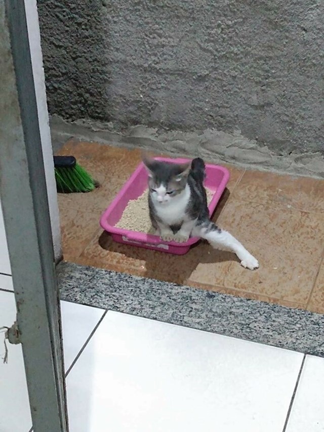 13.
