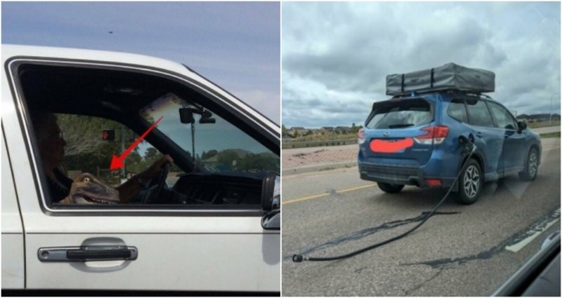 17 vozača primijetili su čudne situacije u prometu, njihove su fotke nasmijale cijeli internet