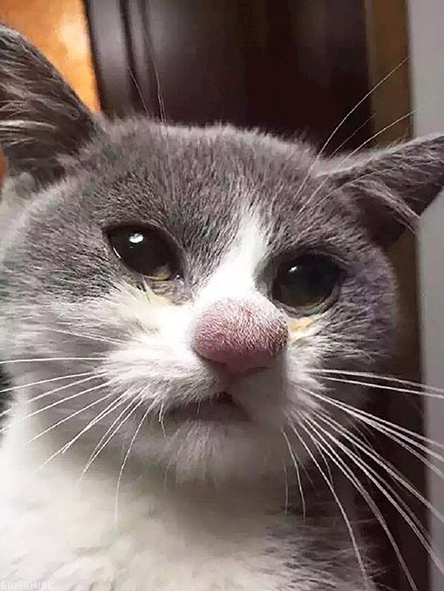 1.