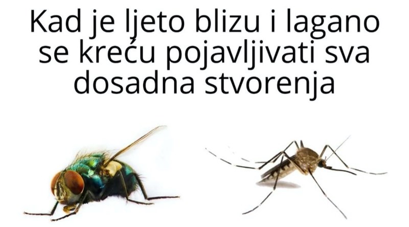 Tisuće ljudi na FB-u lajkaju foru o dosadnim ljetnim bićima, jednoj grupi ljudi se neće baš svidjeti