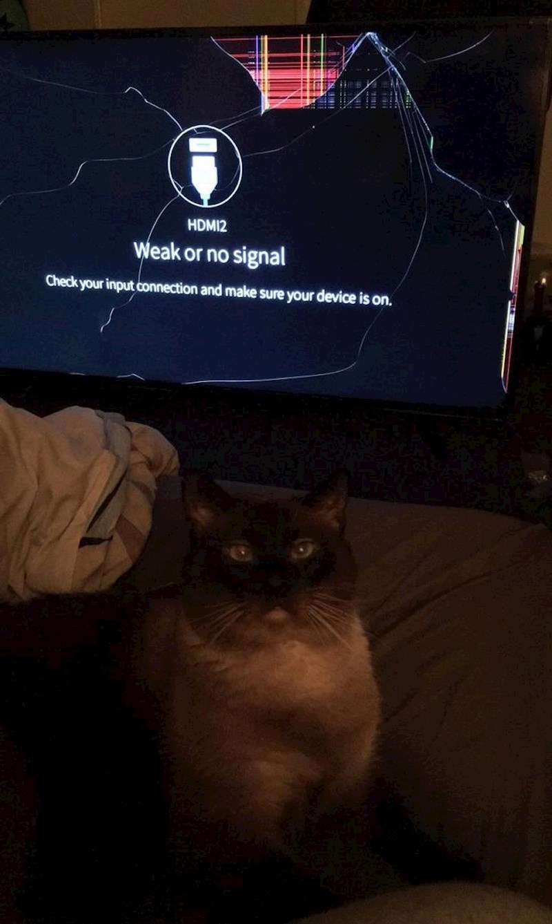 8. Uništio mi je novu televiziju i čini se da je jako ponosan na to