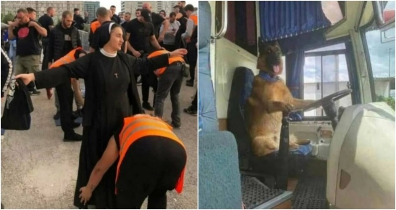 15 nepovezanih fotografija kojima je zajedničko samo to da su izuzetno bizarne