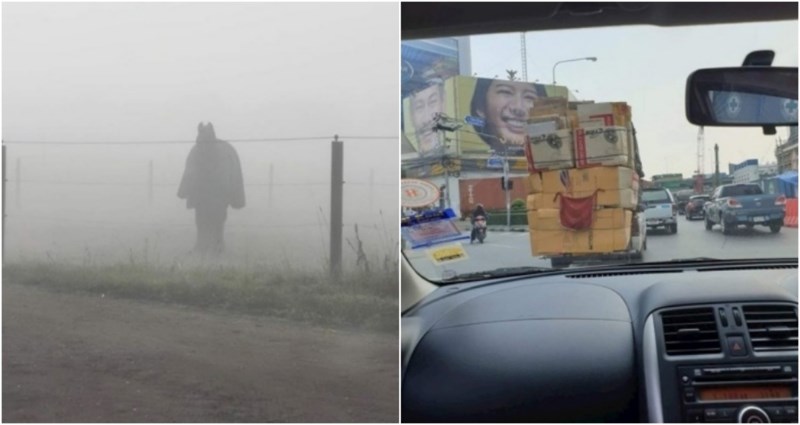 15 fotki koje ćete morati malo bolje pogledati kako biste uočili zanimljive detalje