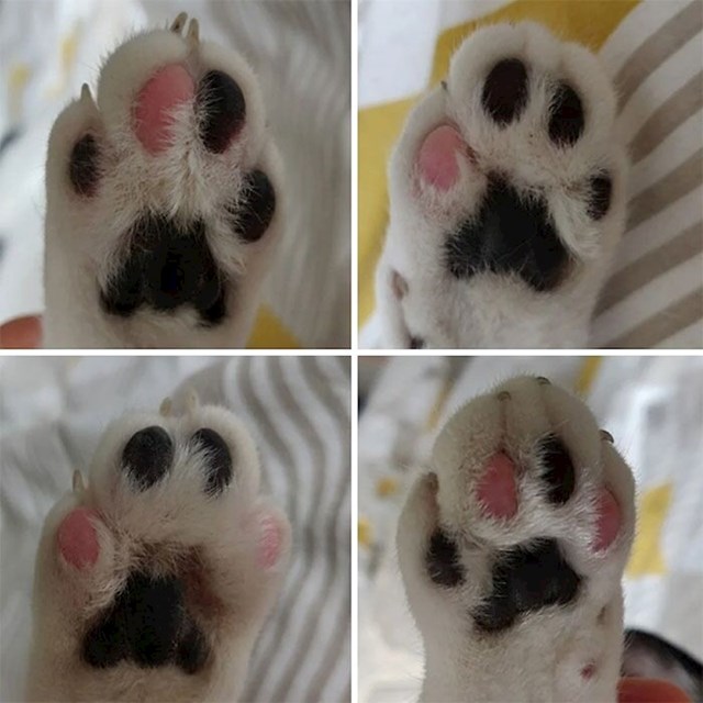 8.