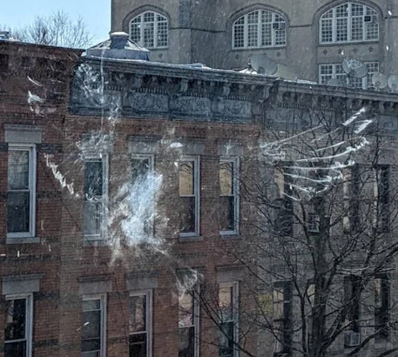 17. Ptica je ostavila trag na prozoru