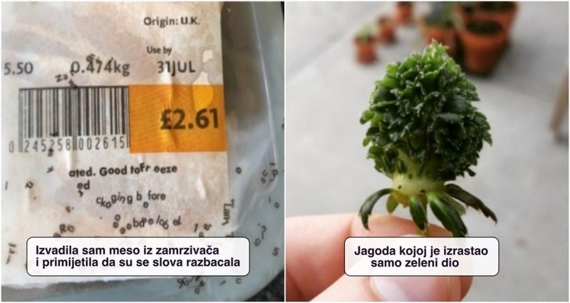 15 ljudi pokazali su zanimljive detalje koji su im privukli pažnju, ima baš fascinantnih