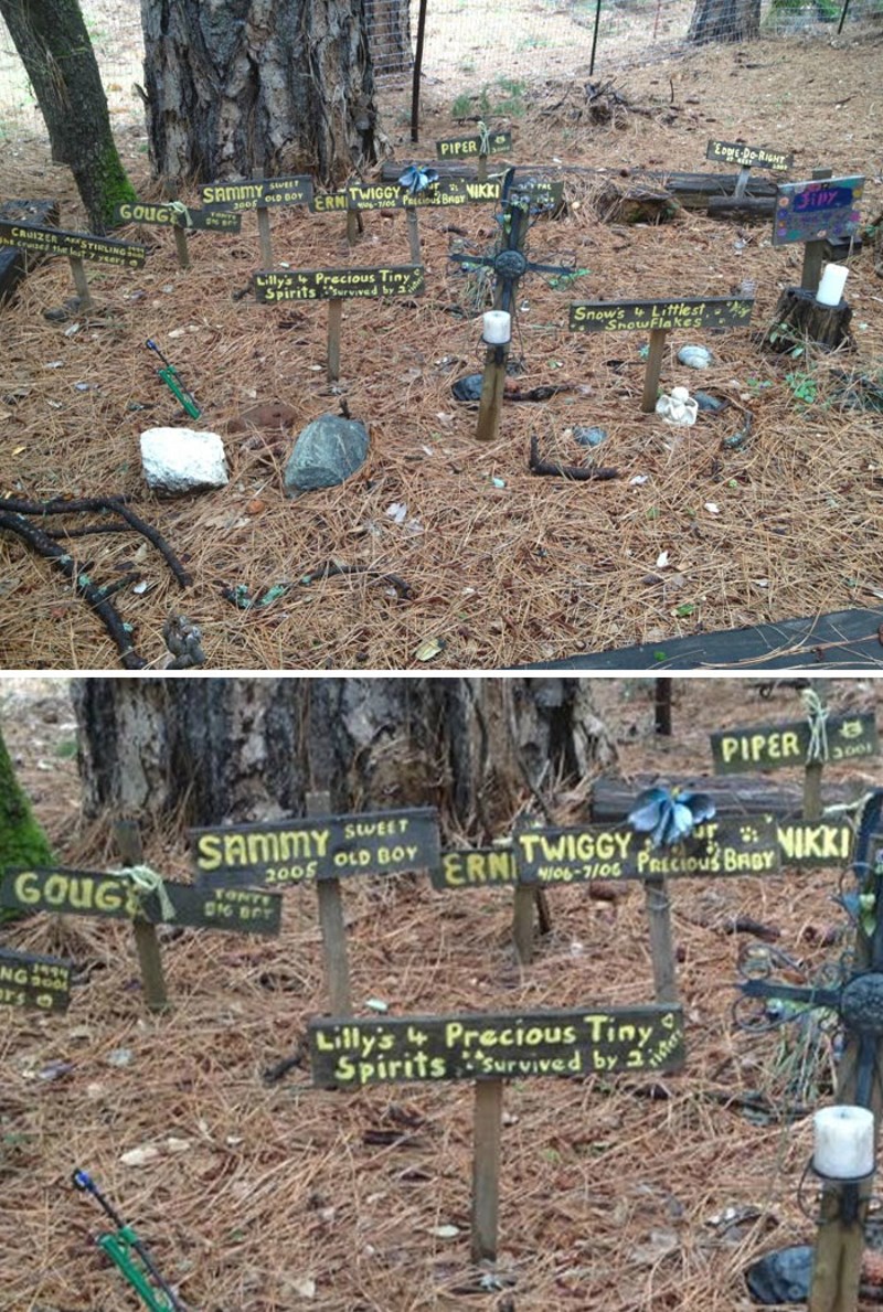 3. Groblje u dvorištu naše nove kuće