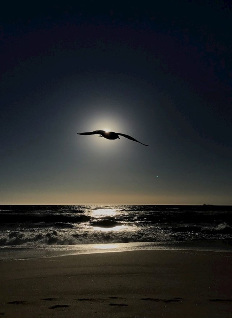 Netko je slikao neobičnu "pomrčinu Sunca".