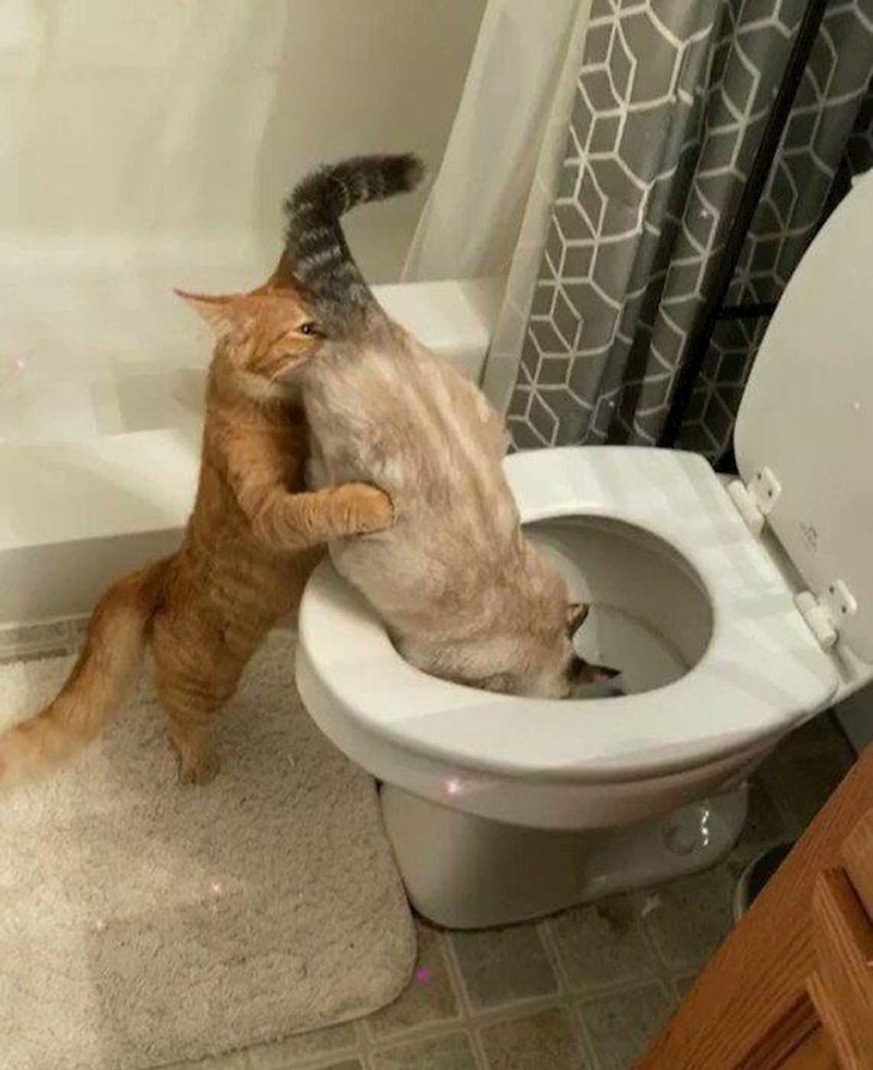 9. Ne želimo znati što se ovdje zbiva🤣