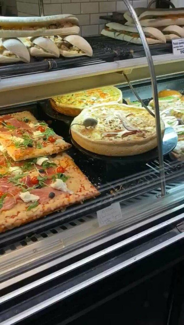 1. Štakor na quicheu u jednoj zalogajnici u Parizu