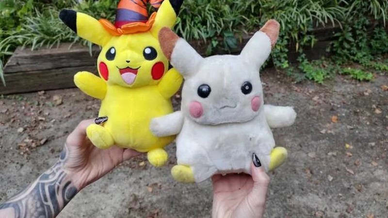 13. Pikachu star 15 godina i njegov nasljednik