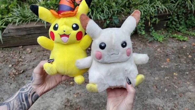 13. Pikachu star 15 godina i njegov nasljednik