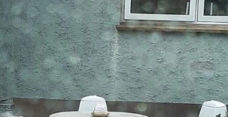 Prizor iz nečijeg dvorišta obišao je cijelu regiju, morat ćete dobro protrljati oči kad vidite fotku