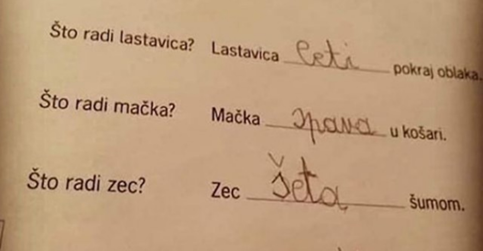Cijela Hrvatska smije se iskrenom odgovoru iz zadaće ovog školarca, odmah će vam biti jasno zašto