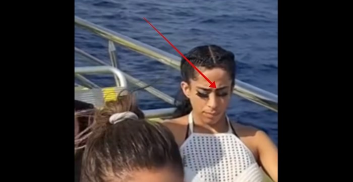 Netko je tijekom vožnje turističkim brodom uhvatio urnebesnu scenu, snimka je odmah postala hit