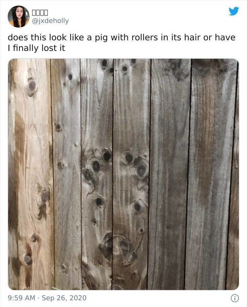 12. Detalj na ogradi izgleda kao svinja s viklerima