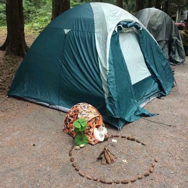 13. Mačka ima vlastiti šator