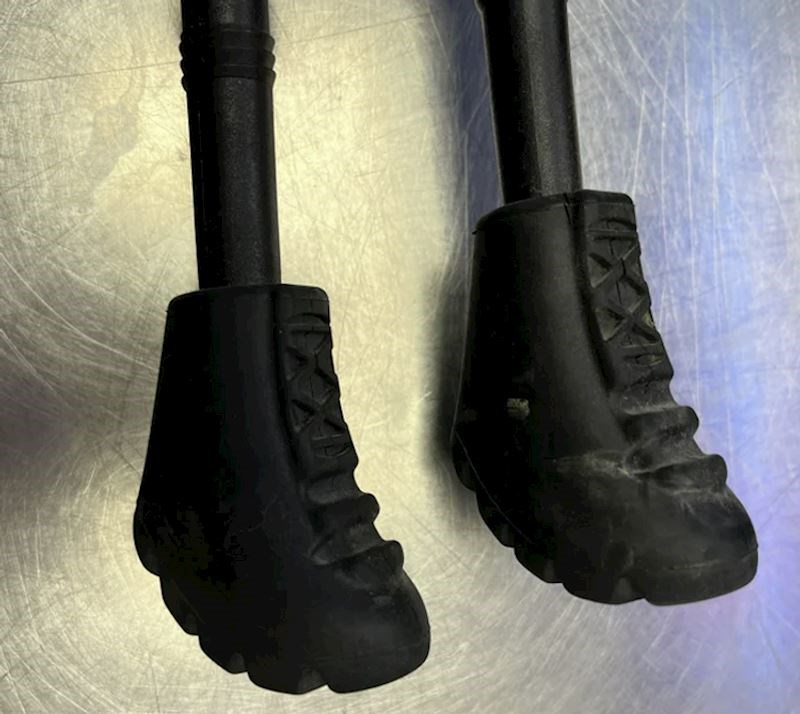 12. Moji štapovi za hodanje imaju male čizmice na završetku