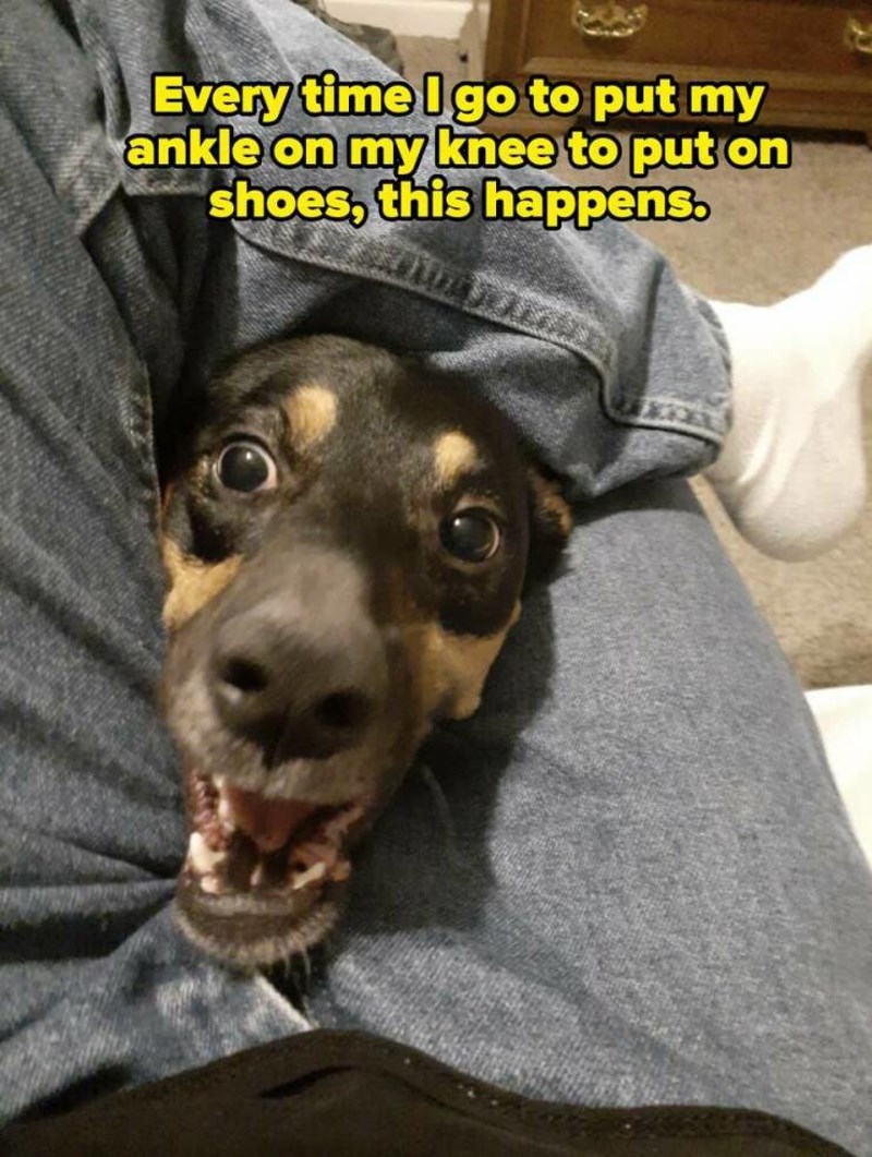 6. Svaki put kad se obuvam ovo se dogodi