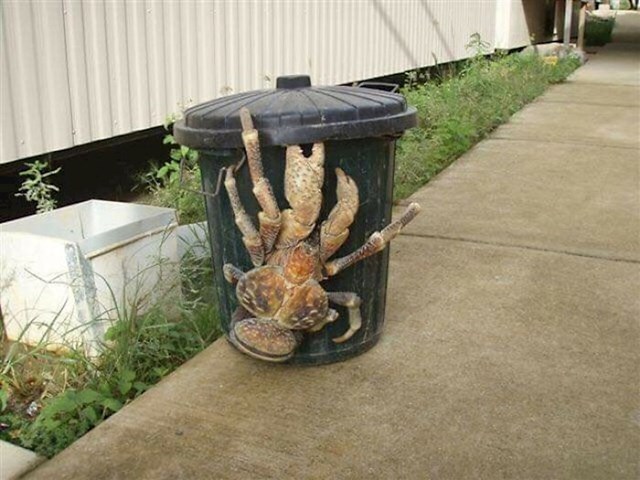 2.