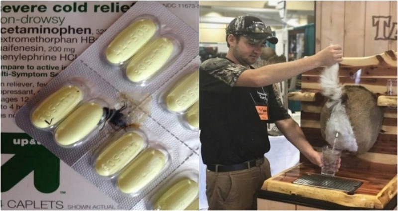 15 čudnih i zabrinjavajućih prizora koje su ljudi slikali i odmah morali svima pokazati