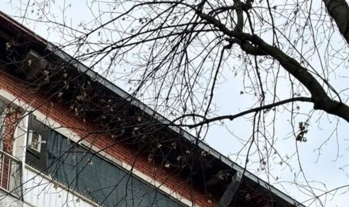 Nečiji balkon izazvao je salve smijeha na popularnoj FB stranici, odmah će vam biti jasno zašto