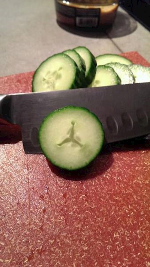 Logo Jordanica na krastavcu