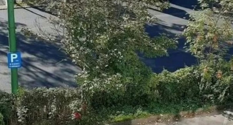 Balkanac je parkirao na zabranjenom mjestu i nasmijao regiju načinom na koji je prevario sustav
