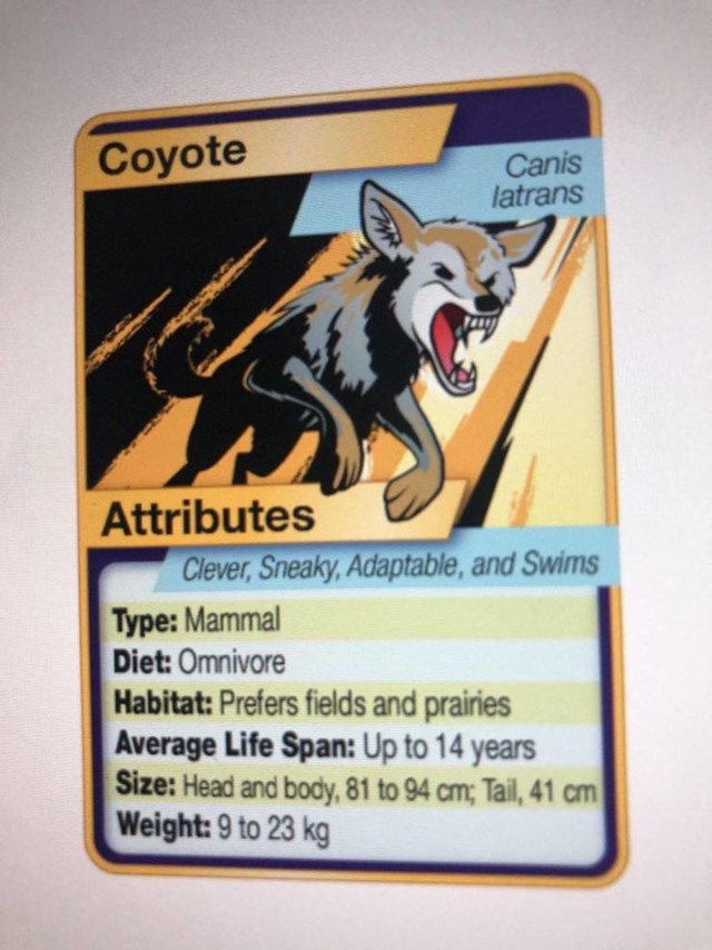 13. Moj profesor biologije napravio je kartice po uzoru na Pokemone sa stvarnim životinjama i njihovim karakteristikama