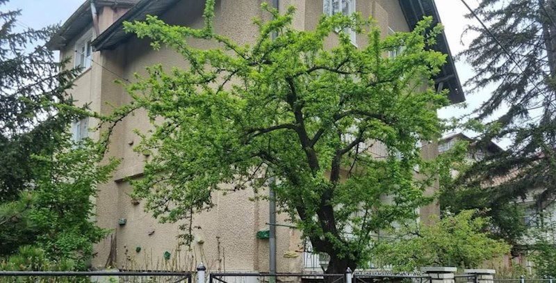 Fotka nečije ograde postala je ogroman hit na Fejsu zbog urnebesnog detalja, ovo morate vidjeti