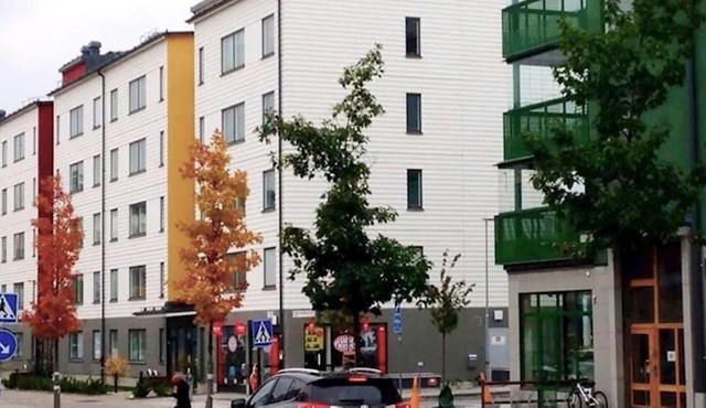 3. Krošnje sasvim slučajno odgovaraju bojama fasade na zgradama iza njih