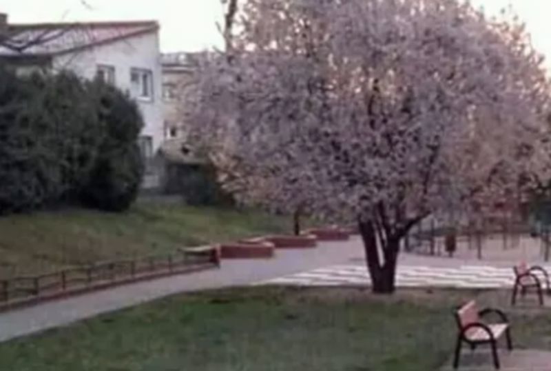 Bizarna fotka iz jednog parka u Srbiji obišla je cijeli Balkan, prizor je potpuno nadrealan