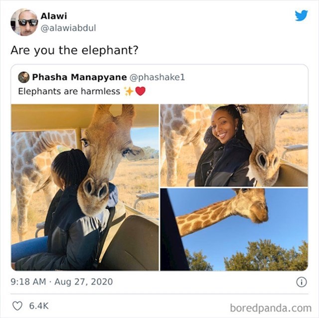 3. Misli da je žirafa slon