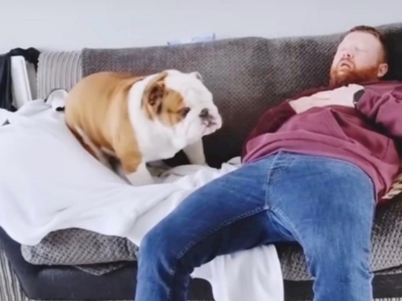 Vlasnik je pred psom odglumio da mu je pozlilo, prasnut ćete u smijeh kad vidite njegovu reakciju