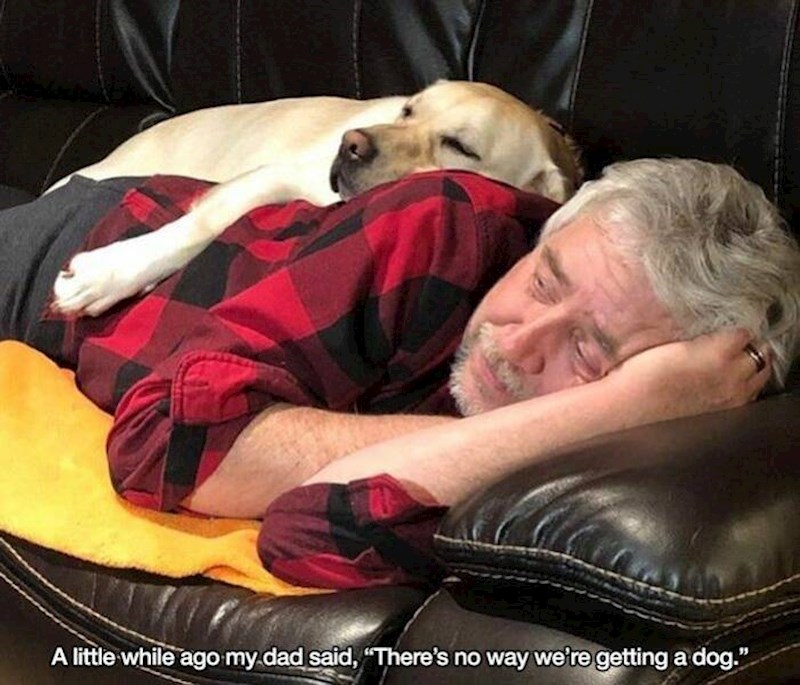 7. Par mjeseci prije rekao je "nema šanse da udomimo psa!"