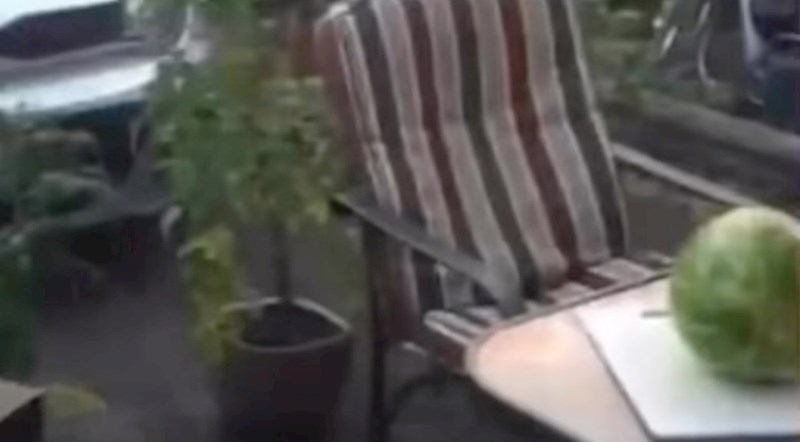 Tip je htio prerezati lubenicu mačem, zbog onoga što je uslijedilo se jako zamjerio susjedima