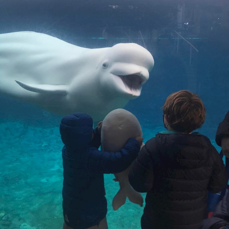 5. "Ooo, pa ovo izgleda kao ja!"