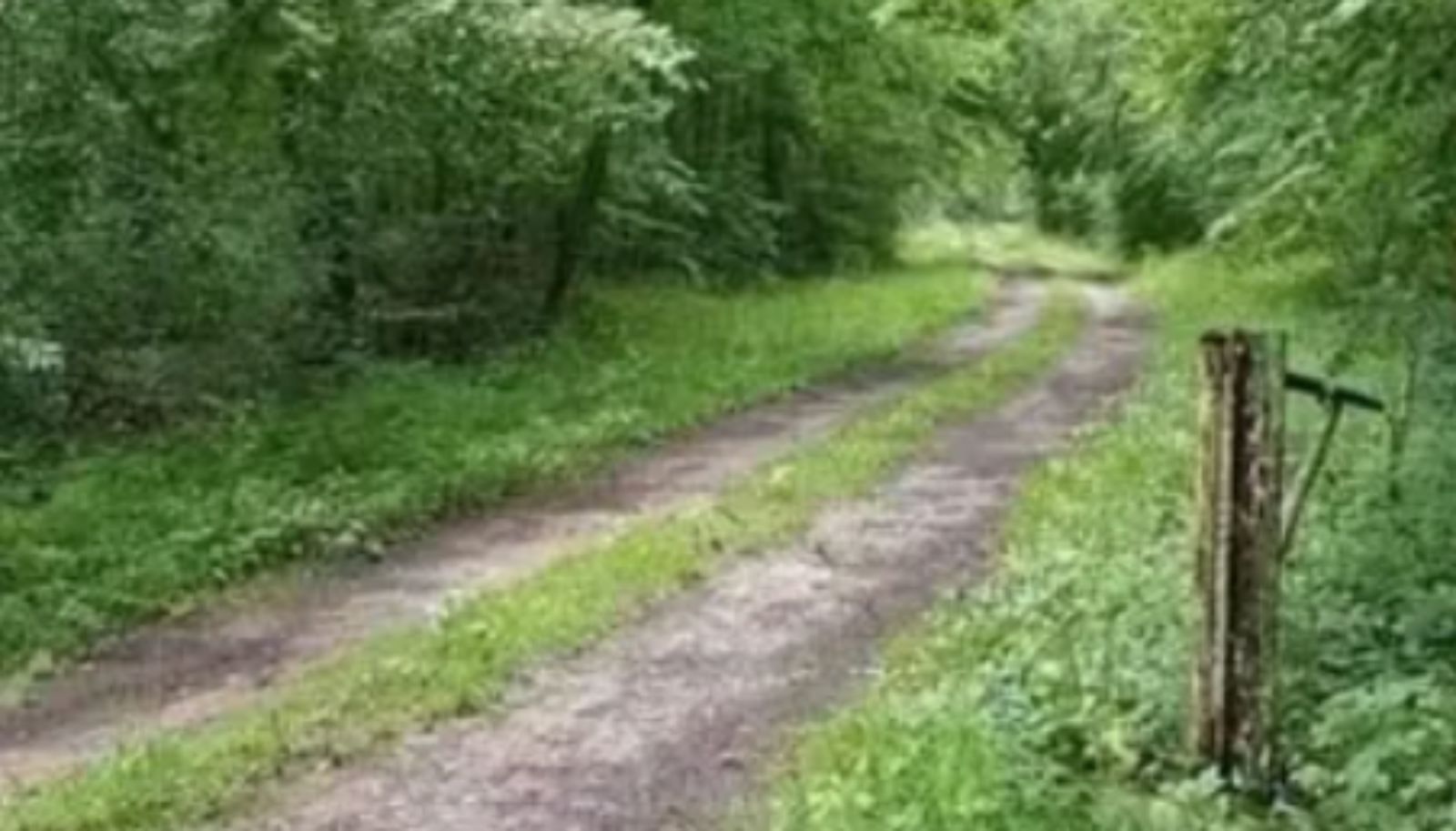 Prolaznik je pokraj šumskog puta uočio bizaran prometni znak, fotka je odmah postala hit u regiji