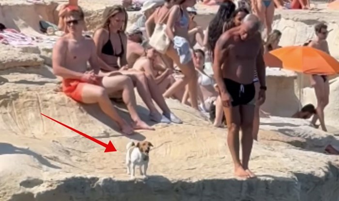Snimka psića koji skače u more za vlasnikom oduševila je cijeli internet, popravit će vam dan