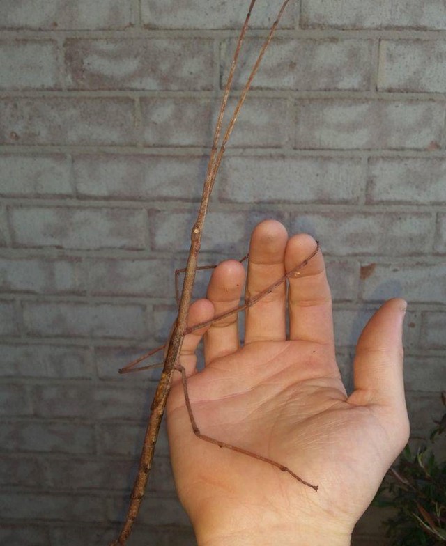 1.