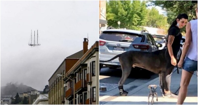 15 puta kad su ljudi uspjeli fotkati skroz nadrealne prizore i morali ih svima pokazati