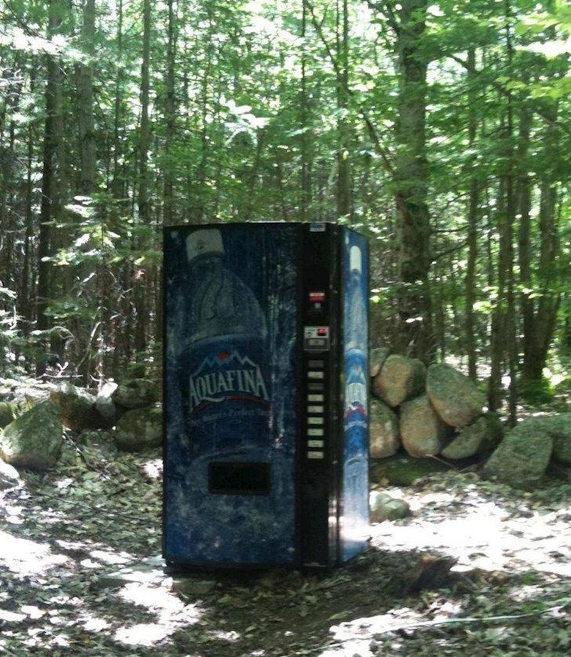 6. Šetao sam šumom i odjednom ugledao ovu oazu.